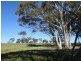 LOT 240 Great Eastern Hwy, Meckering WA 6405