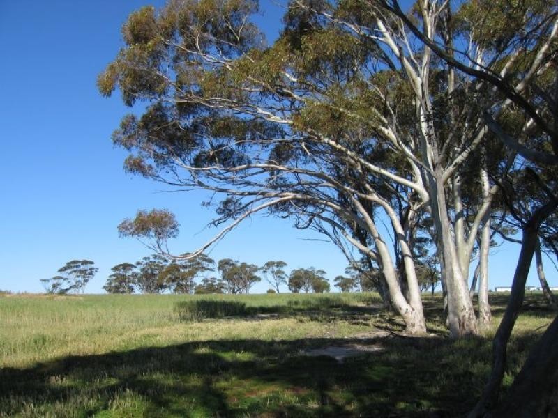 LOT 240 Great Eastern Hwy, Meckering WA 6405