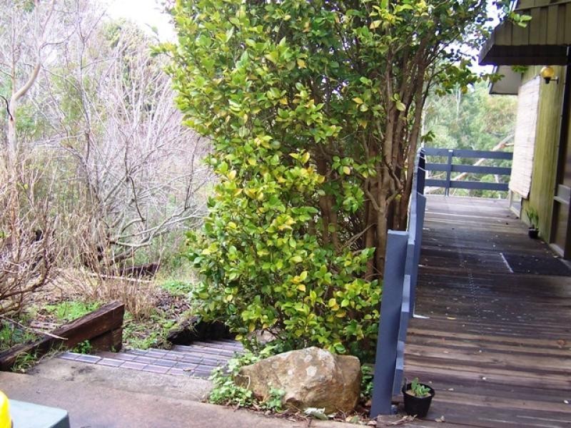 21 Coromandel Road, Aldgate SA 5154