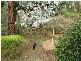 8 Irene Grove, Selby VIC 3159