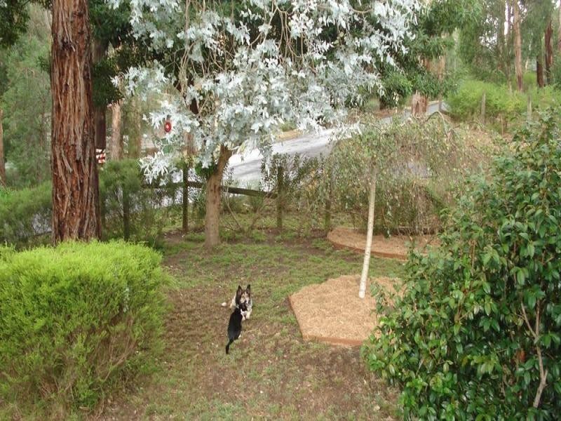 8 Irene Grove, Selby VIC 3159