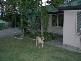 1 Cluny Drive, Buderim QLD 4556