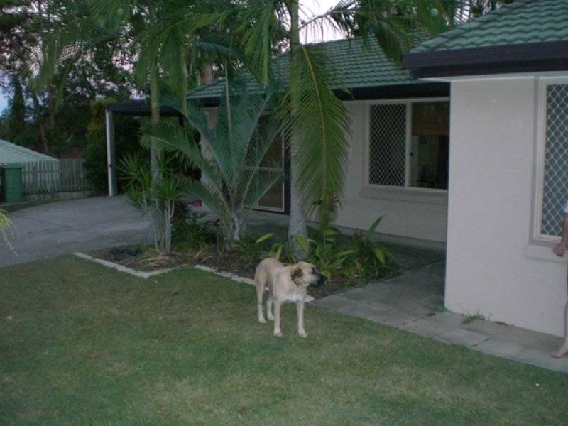1 Cluny Drive, Buderim QLD 4556