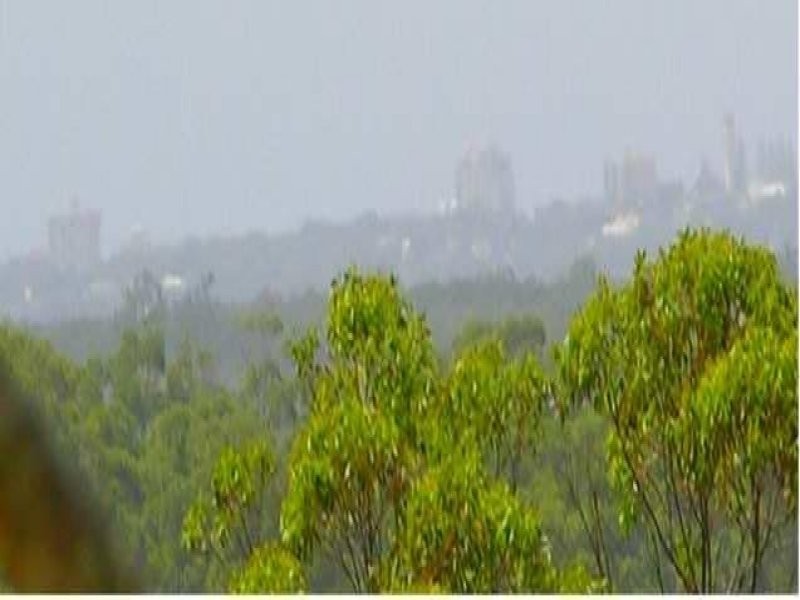 14 Cedara Place, Buderim QLD 4556