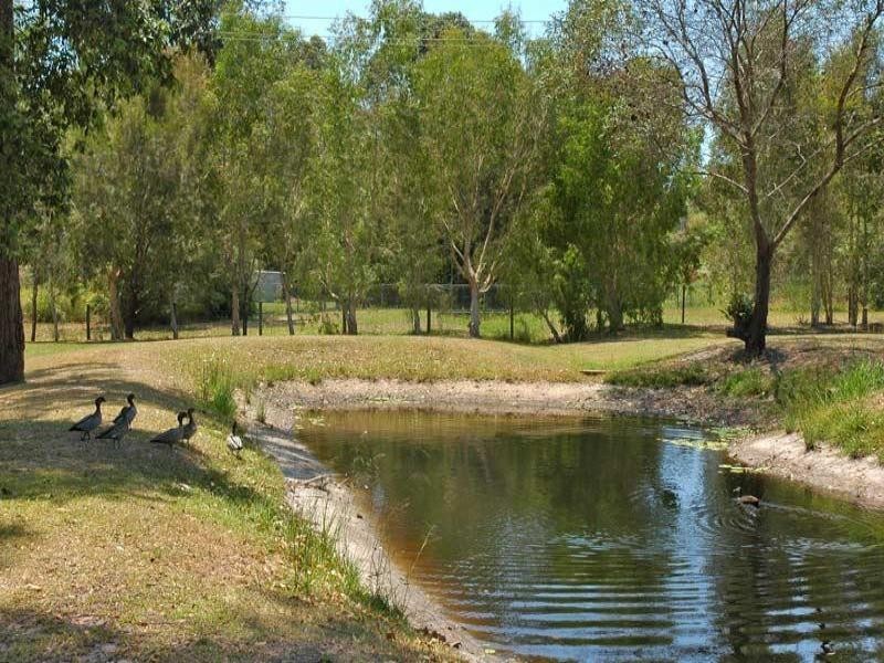 38 Toral Drive, Buderim QLD 4556