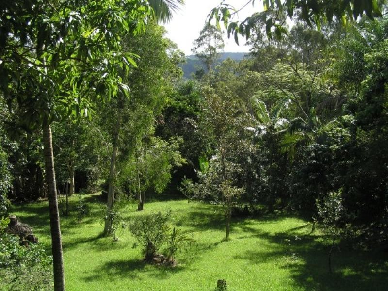199 Neill Road, Mooloolah Valley QLD 4553
