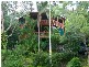 17 Parle Crescent, Buderim QLD 4556