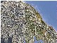 19 Toorumbee Drive, Mooloolaba QLD 4557