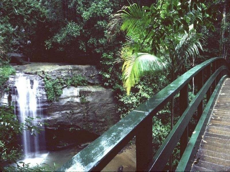 18 Orme Road, Buderim QLD 4556