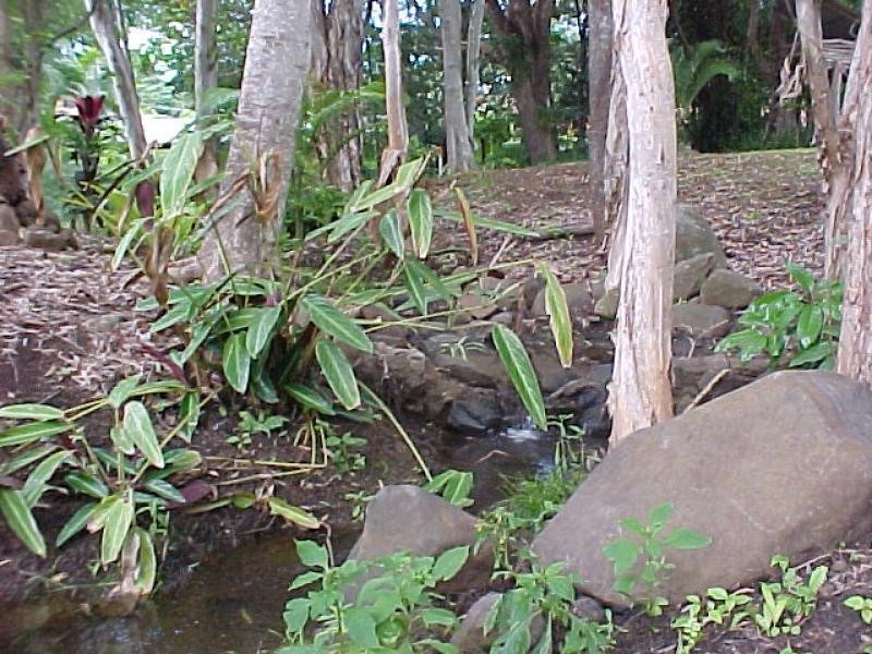 8 Pacific View Parade, Buderim QLD 4556