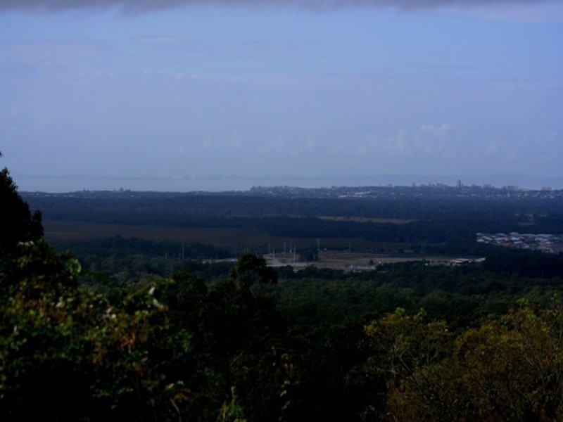 93 Burnett Street, Buderim QLD 4556