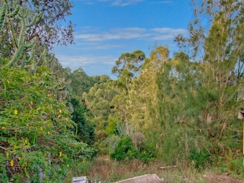 54 Higginbotham Road, Gladesville NSW 2111