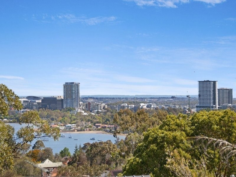 290 Morrison Road, Putney NSW 2112