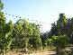 3 Manson Parade, Russell Island QLD 4184