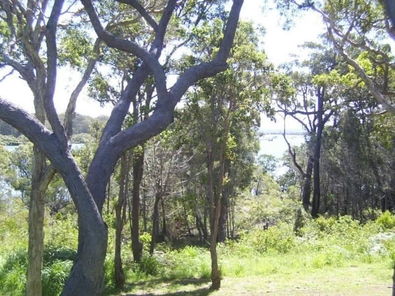 48 Tenanne Street, Russell Island QLD 4184