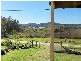 34 Inlet Ave, Russell Island QLD 4184