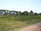 Coochiemudlo Island QLD 4184