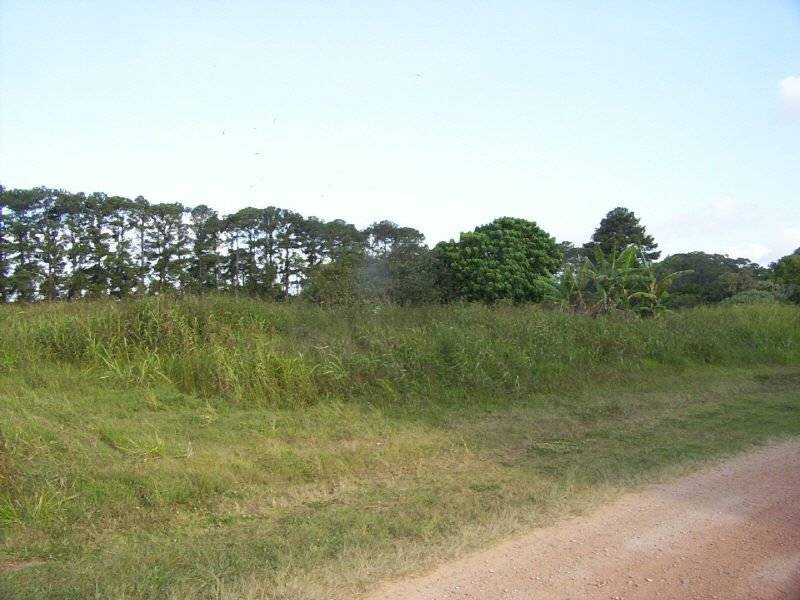 Coochiemudlo Island QLD 4184
