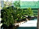 11 Folwell Street, Russell Island QLD 4184