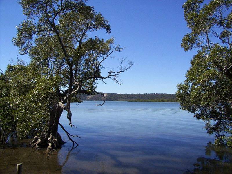 14 Oasis Drive, Russell Island QLD 4184