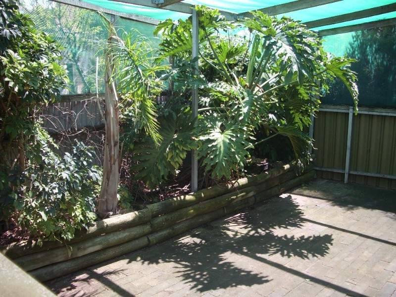 12 Buik Street, Bordertown SA 5268