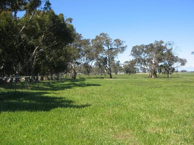 34 Off chalk Rd, Mundulla SA 5270