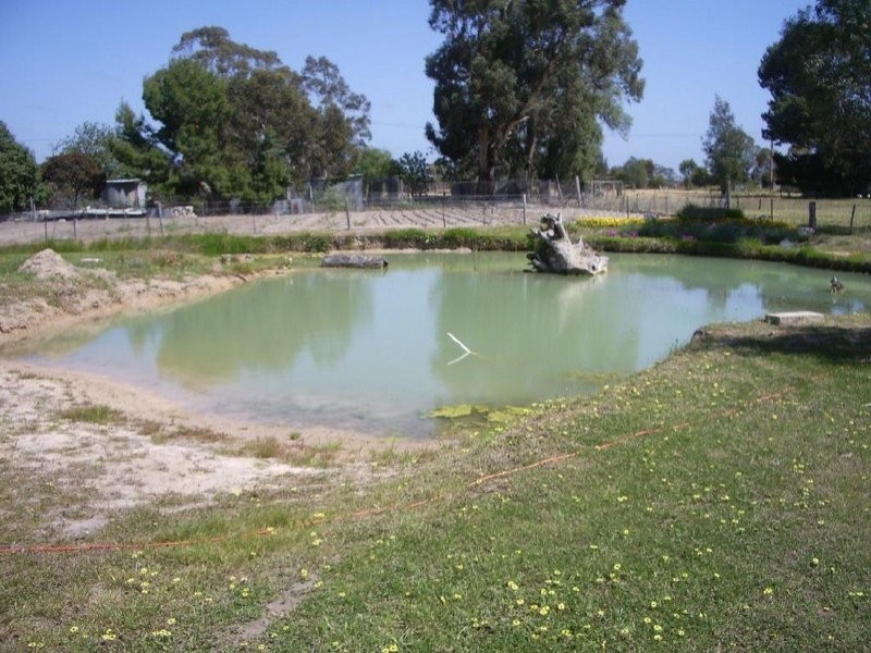 121 Ramsay Terrace, Bordertown SA 5268