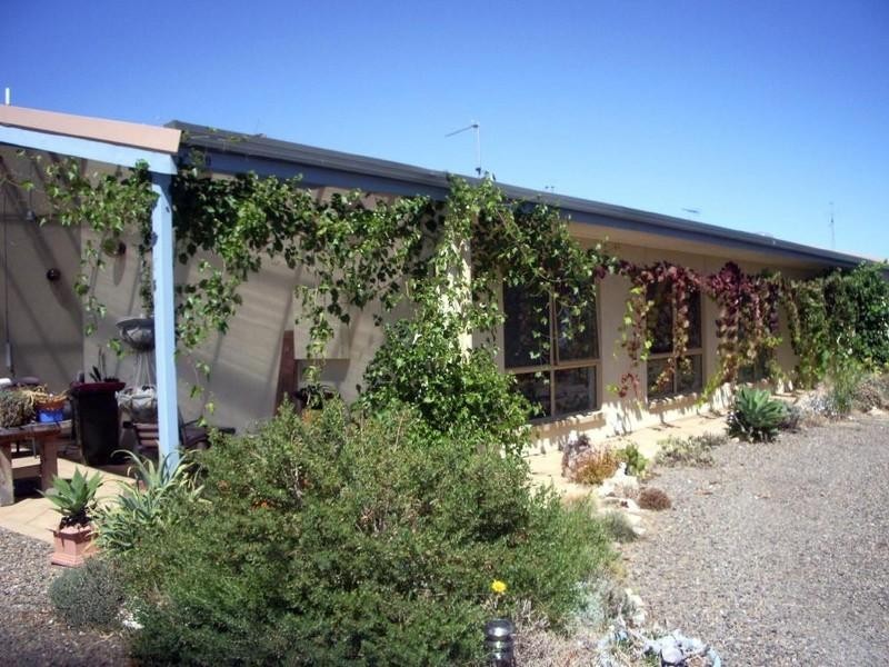 100 South Avenue, Bordertown SA 5268