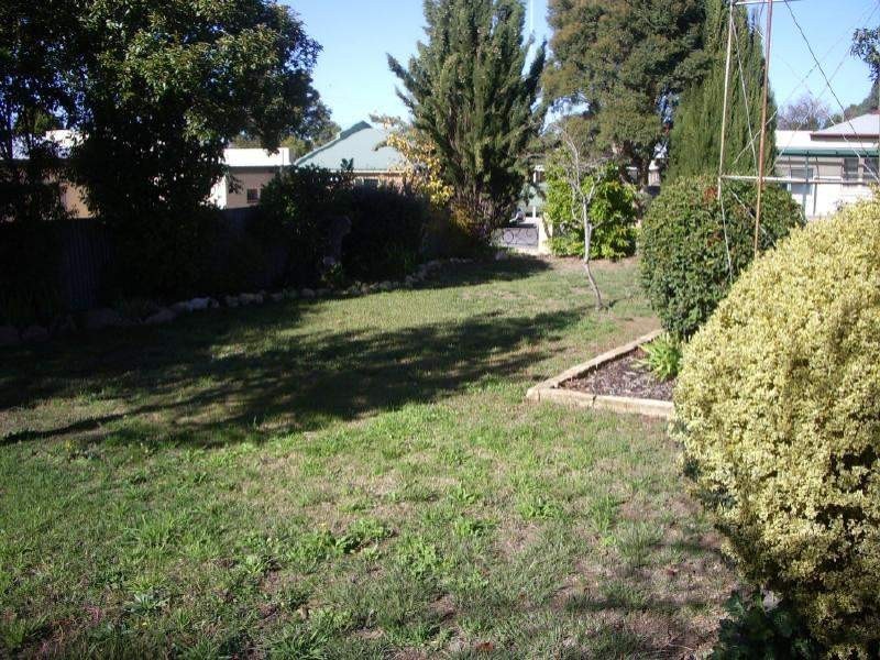 41 Farquhar Street, Bordertown SA 5268