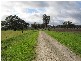 Henniker Canterbury Park, Bordertown SA 5268