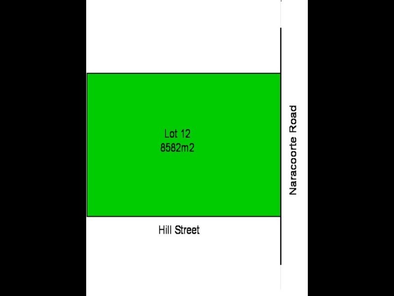 Lot 12 Naracoorte Rd, Bordertown SA 5268