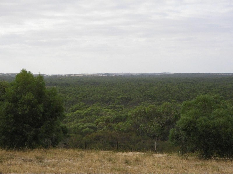 Lots 1 and 2 Broadview Road, Padthaway SA 5271