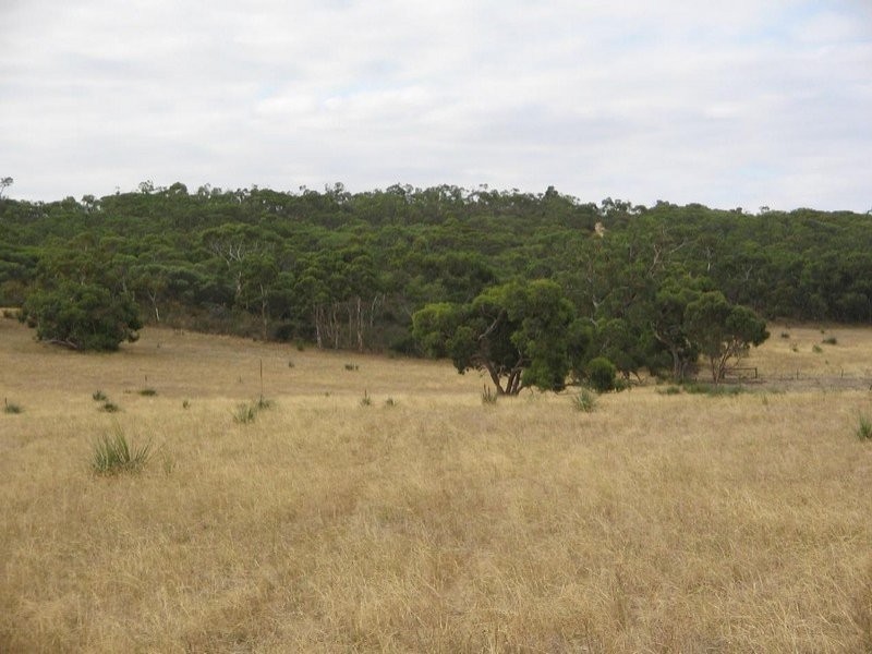 Lots 1 and 2 Broadview Road, Padthaway SA 5271