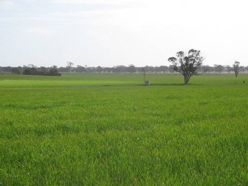 Lot 3 Government Road, Mundulla SA 5270