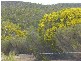 WirhaHills . Alawoona Rd, Lameroo SA 5302