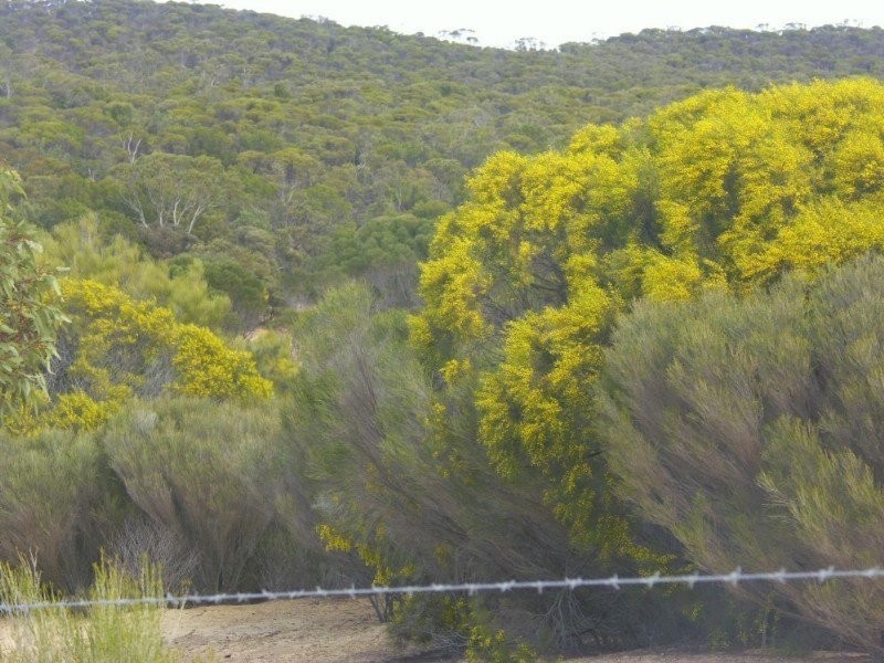 WirhaHills . Alawoona Rd, Lameroo SA 5302