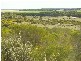 .Wirhafarm . Alawoona Rd, Lameroo SA 5302