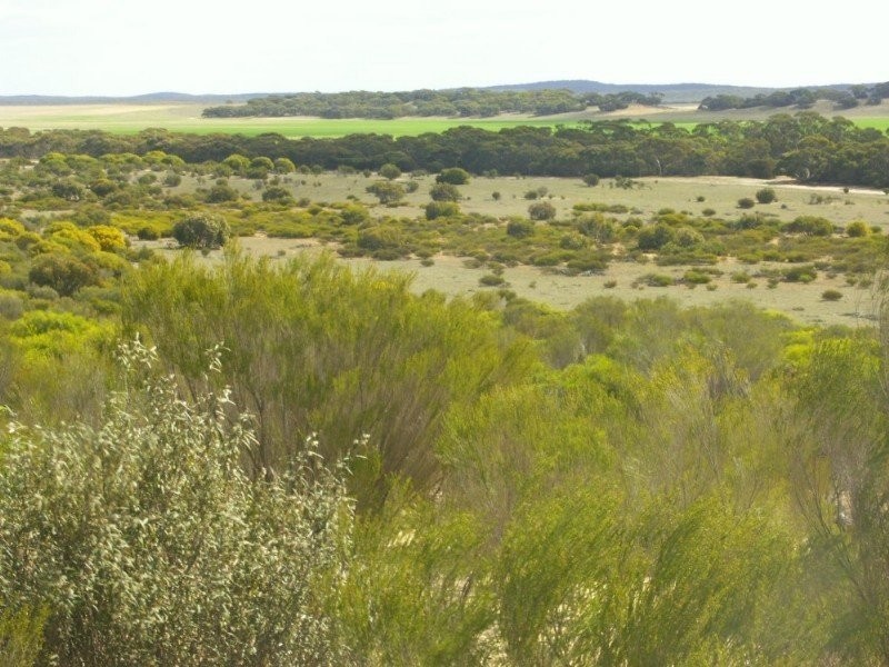 .Wirhafarm . Alawoona Rd, Lameroo SA 5302