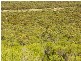 .Wirhafarm . Alawoona Rd, Lameroo SA 5302