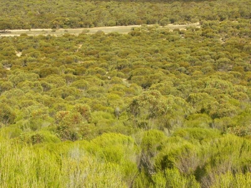 .Wirhafarm . Alawoona Rd, Lameroo SA 5302