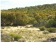 . . Wirhalinger, Lameroo SA 5302
