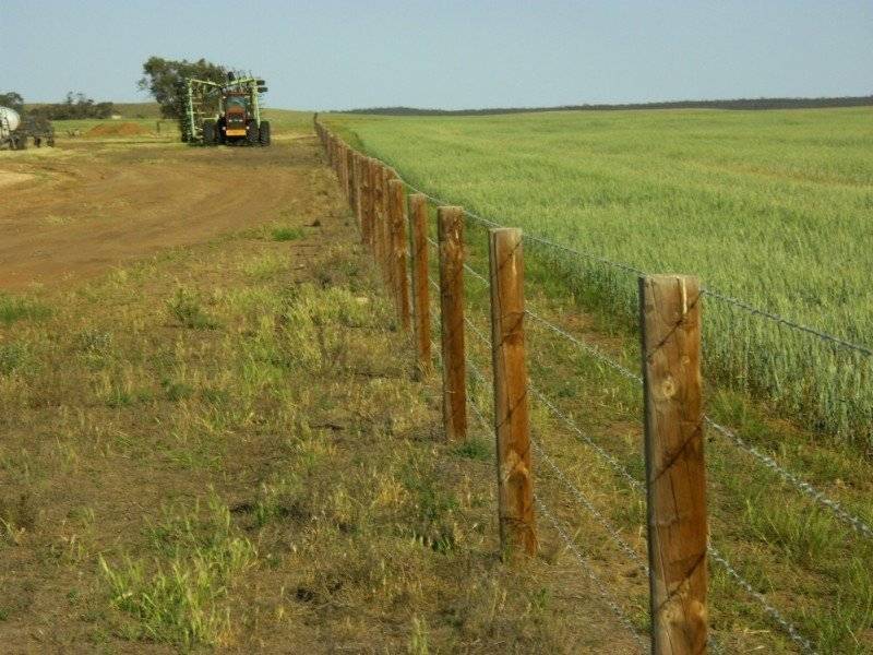 . . Alawoona Rd, Lameroo SA 5302