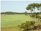 . . Alawoona Rd, Lameroo SA 5302