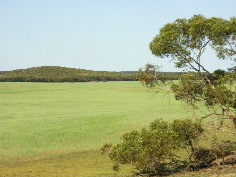 . . Alawoona Rd, Lameroo SA 5302