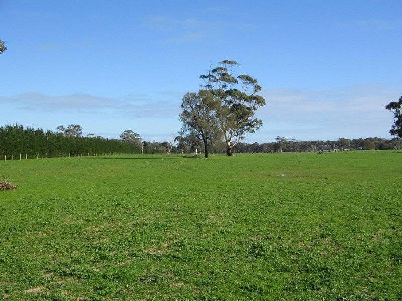 Section 54 Bangham Siding Road, Bangham SA 5268