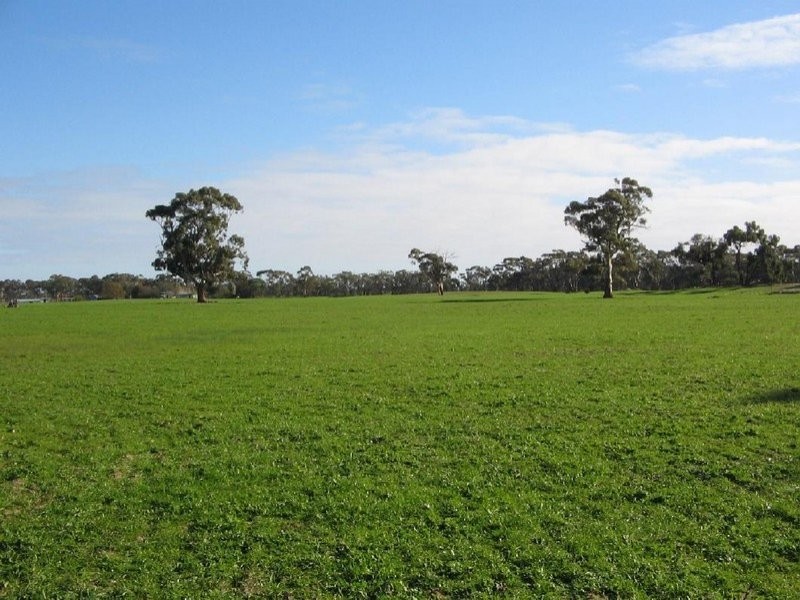 Section 54 Bangham Siding Road, Bangham SA 5268