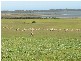 Section 39 Princes Highway, Meningie SA 5264