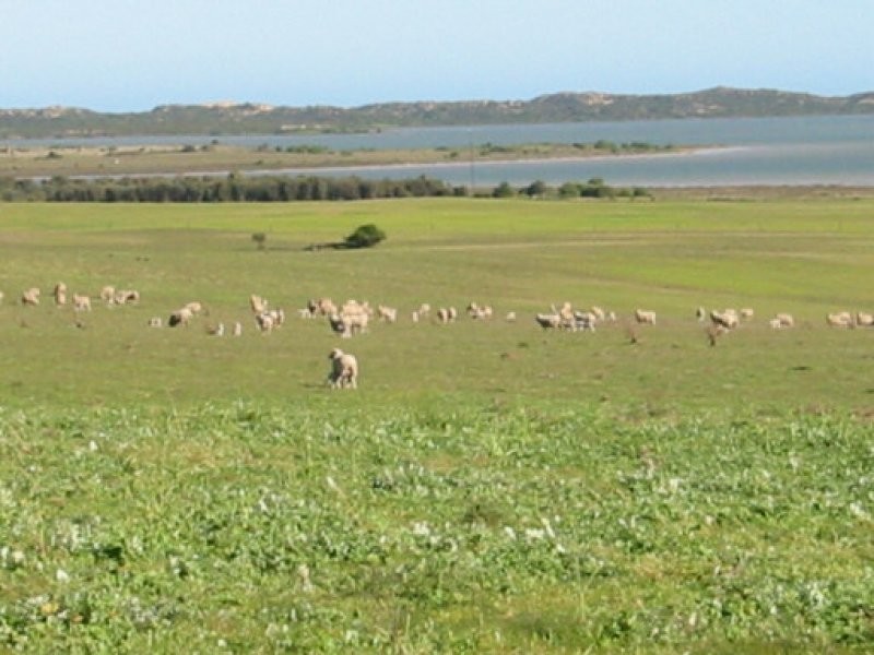 Section 39 Princes Highway, Meningie SA 5264