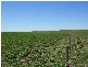 Section 39 Princes Highway, Meningie SA 5264