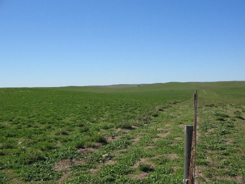 Section 39 Princes Highway, Meningie SA 5264